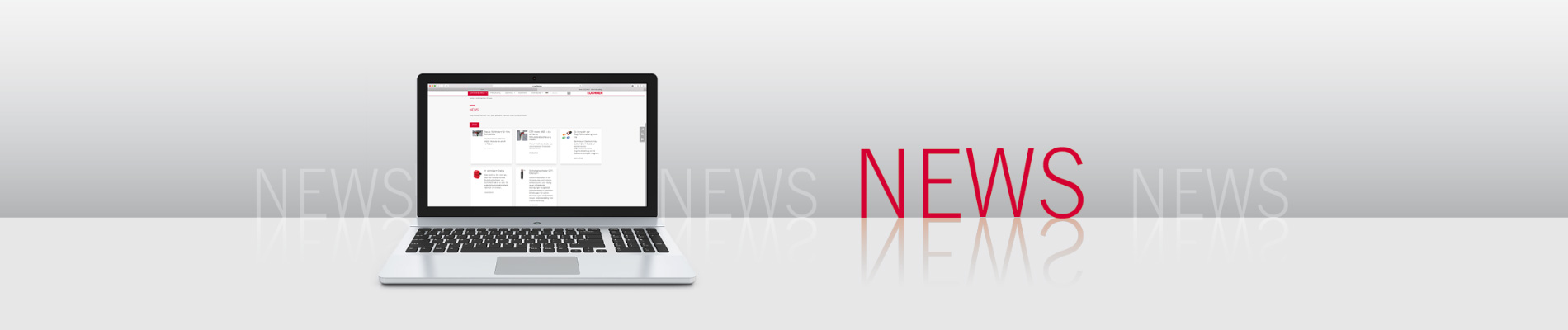 Success Stories Details